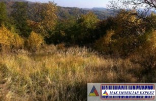 teren-2500-mp-intravilan-marcus-campulung-muscel-arges-9