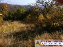 teren-2500-mp-intravilan-marcus-campulung-muscel-arges-10