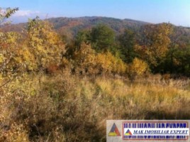 teren-2500-mp-intravilan-marcus-campulung-muscel-arges-11