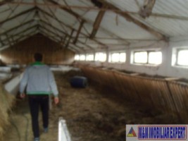 ferma-grajduri-58-ha-apa-sarata-campulung-muscel-arges-5