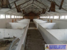 ferma-grajduri-58-ha-apa-sarata-campulung-muscel-arges-10