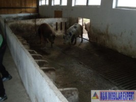 ferma-grajduri-58-ha-apa-sarata-campulung-muscel-arges-12