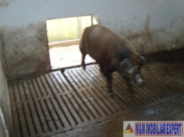 ferma-grajduri-58-ha-apa-sarata-campulung-muscel-arges-13