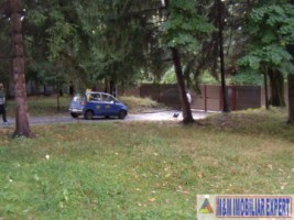 ferma-grajduri-58-ha-apa-sarata-campulung-muscel-arges-15