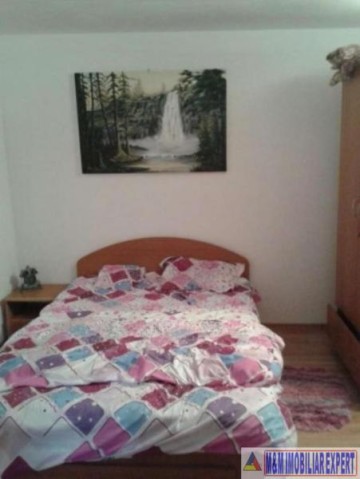 vila-pensiune-5-camere-teren-800-mp-in-dambovicioara-arges-3