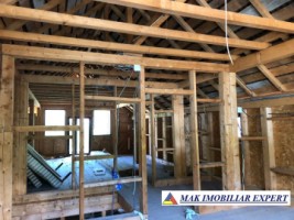 casa-la-rosu-5-camere-teren-200-mp-in-bradulet-arges-29