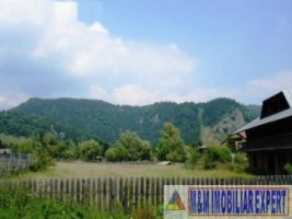 vila-la-rosu-teren-6300-mp-p-dambovitei-dambovicioara-arges-3