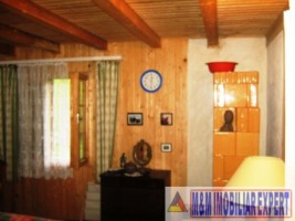 vila-cabana-montana-8-camere-teren-1-ha-rucar-satic-arges-5