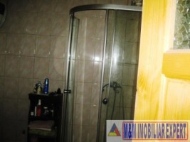 vila-cabana-montana-8-camere-teren-1-ha-rucar-satic-arges-9