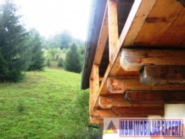 vila-cabana-montana-8-camere-teren-1-ha-rucar-satic-arges-11