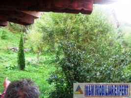 vila-cabana-montana-8-camere-teren-1-ha-rucar-satic-arges-12