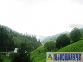 vila-cabana-montana-8-camere-teren-1-ha-rucar-satic-arges-14