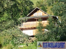 vila-cabana-montana-8-camere-teren-1-ha-rucar-satic-arges-10