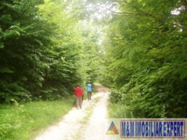 teren-intravilan-2-ha-in-v-barbusii-campulung-muscel-arges-1