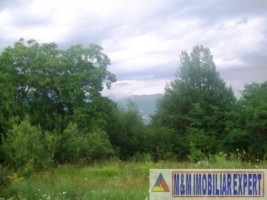 teren-intravilan-2-ha-in-v-barbusii-campulung-muscel-arges-4