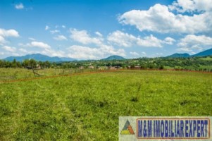 teren-5577-mp-intravilan-de-vanzare-in-bran-brasov-1