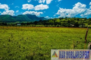 teren-5577-mp-intravilan-de-vanzare-in-bran-brasov-9