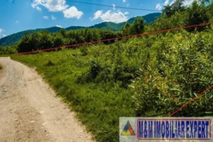 teren-5577-mp-intravilan-de-vanzare-in-bran-brasov-11