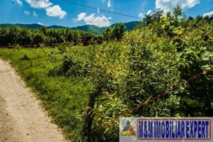 teren-5577-mp-intravilan-de-vanzare-in-bran-brasov-12