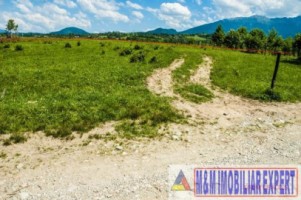 teren-5577-mp-intravilan-de-vanzare-in-bran-brasov-13