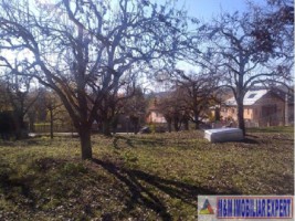 teren-intravilan-2392-mp-in-c-targovistei-campulung-arges