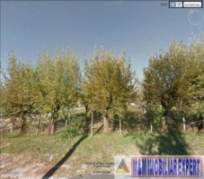 teren-intravilan-2392-mp-in-c-targovistei-campulung-arges-2