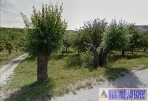 teren-extravilan-de-2500-mp-in-valea-mare-pravat-arges-2