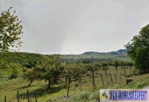 teren-extravilan-de-2500-mp-in-valea-mare-pravat-arges-3