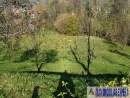 teren-intravilan-800-mp-de-vanzare-in-bughea-de-jos-arges