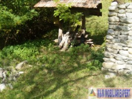 teren-intraextravilan-7500-mp-v-romanestilor-campulung-ag-4