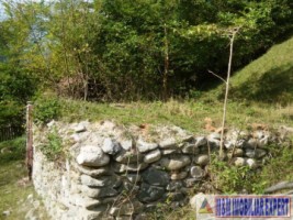 teren-intraextravilan-7500-mp-v-romanestilor-campulung-ag-5