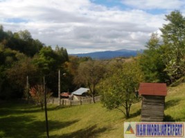 teren-intraextravilan-7500-mp-v-romanestilor-campulung-ag-9