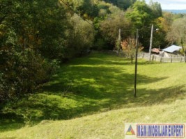 teren-intraextravilan-7500-mp-v-romanestilor-campulung-ag-10