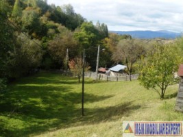 teren-intraextravilan-7500-mp-v-romanestilor-campulung-ag-11