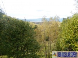 teren-intraextravilan-7500-mp-v-romanestilor-campulung-ag-12