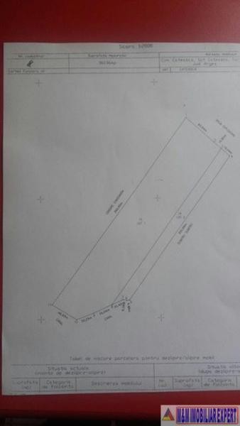 teren-36-ha-intraextravilan-de-vanzare-in-cateasca-arges