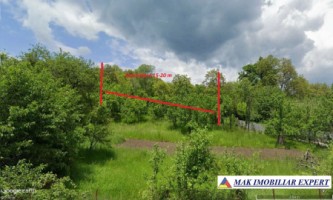 teren-1-ha-extravilan-in-marcus-campulung-muscel-arges-1