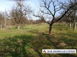 teren-intravilan-3400-mp-de-vanzare-in-voinesti-leresti-arges-3