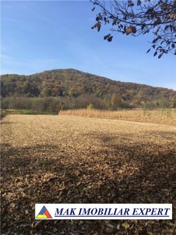 teren-3072-mp-intraextravilan-de-vanzare-in-balilesti-arges