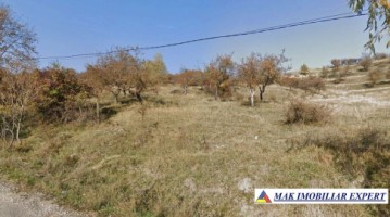 teren-11-ha-intra-extravilan-in-cretisoara-campulung-arges