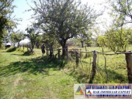 teren-27-ha-extravilan-in-v-romanestilor-campulung-arges-1