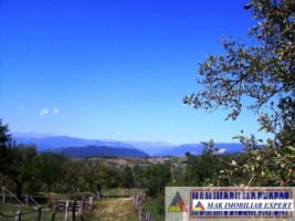 teren-27-ha-extravilan-in-v-romanestilor-campulung-arges-6