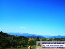 teren-27-ha-extravilan-in-v-romanestilor-campulung-arges-8