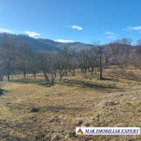 teren-6747-mp-casa-batrineasca-in-poienarii-de-muscel-ag