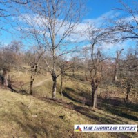 teren-6747-mp-casa-batrineasca-in-poienarii-de-muscel-ag-2