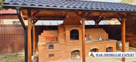 vand-cabana-6-camere-5-bai-teren-1678-mp-in-rucar-arges-5