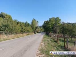 vand-teren-3700-mp-intravilan-in-corbi-arges-5