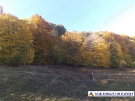 vand-teren-108-ha-extravilan-si-padure-in-bradulet-arges