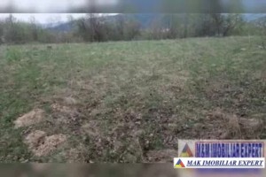 vand-teren-2-ha-extravilan-in-selari-valea-mare-pravat-arges-3