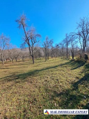 vand-teren-2000-mp-intravilan-in-corbi-arges-2